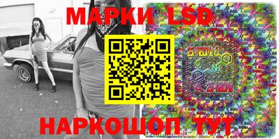 шишки Шелехов