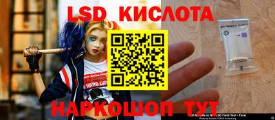 шишки Шелехов