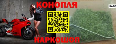шишки Шелехов